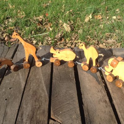 animal train outside